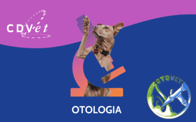 CDVet e Otovet: una collaborazione nata da valori condivisi