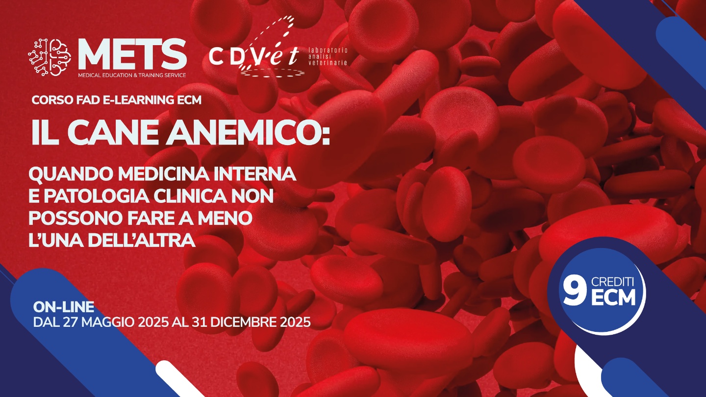 corso-mets-cdvet-cane-anemico
